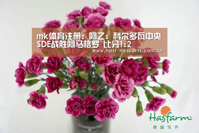 mk体育下载