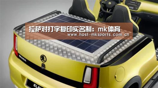 拉萨对打字复印实名制:mk体育(图1) mk体育注册