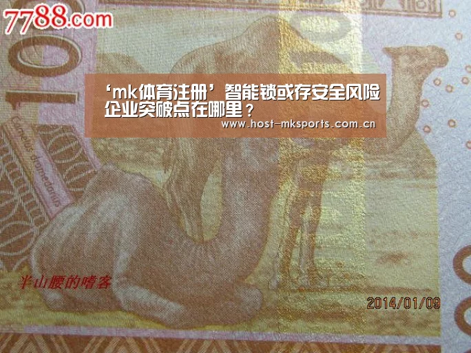 ‘mk体育注册’智能锁或存安全风险 企业突破点在哪里?(图1) mk体育
