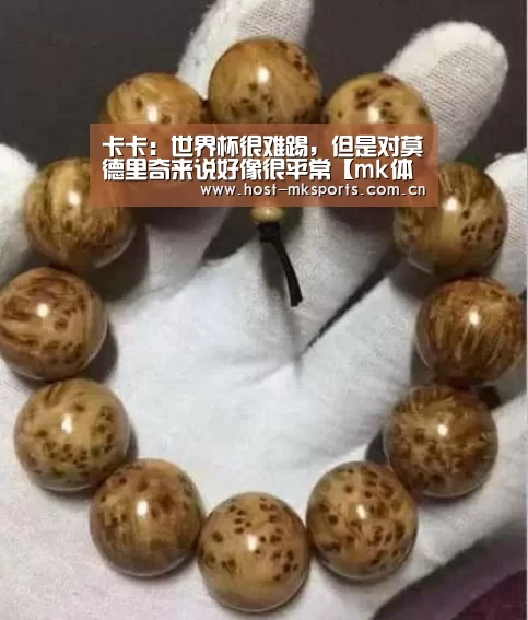 卡卡:世界杯很难踢,但是对莫德里奇来说好像很平常【mk体育在线】(图2) mk体育注册