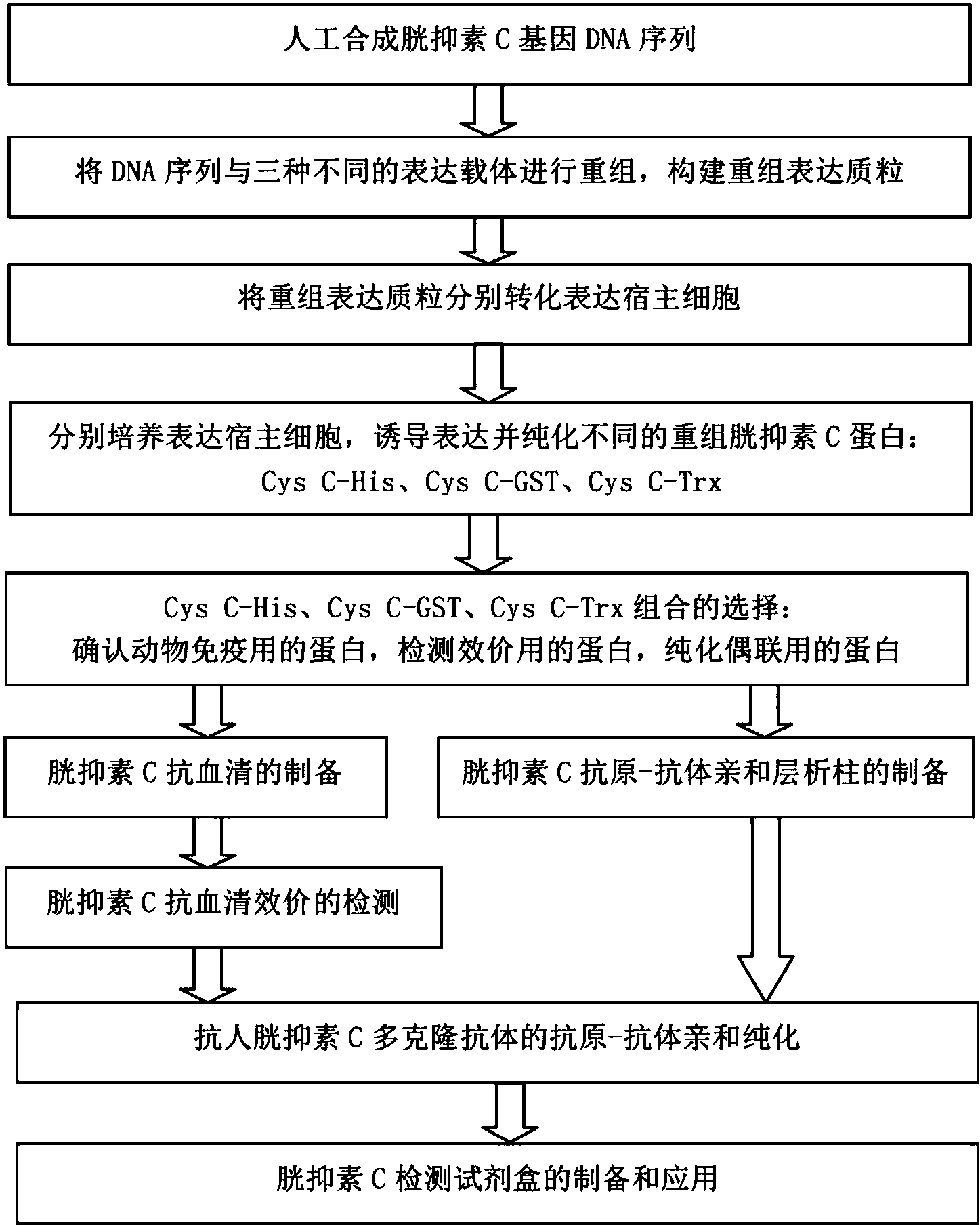 mk体育下载