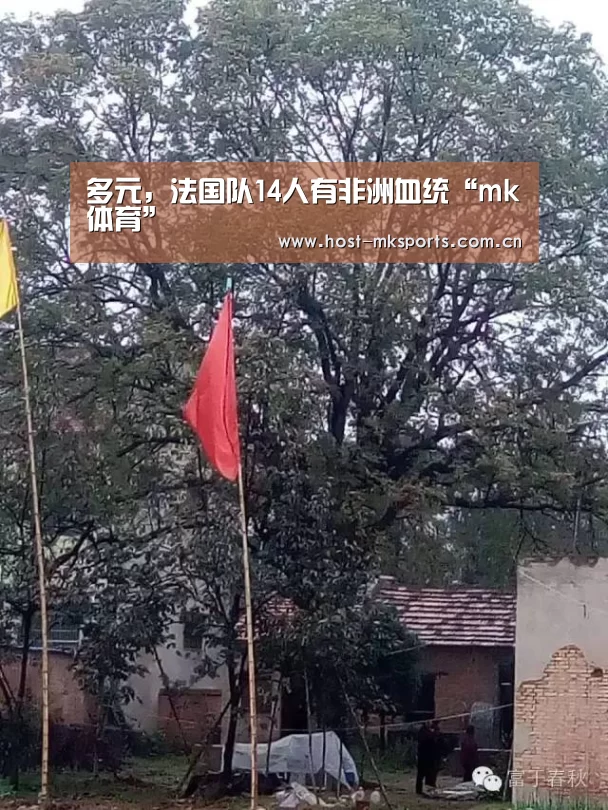 mk体育在线